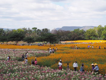 People on field against sky