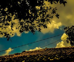 Low angle view of yellow tree against sky