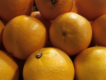 Close-up of oranges