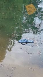 Reflection of trees in water