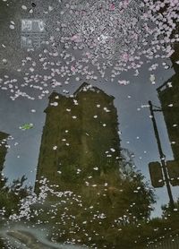 Reflection of building in puddle on rainy day