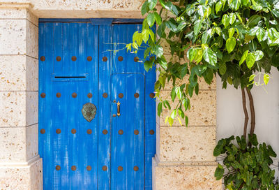 Closed wooden door