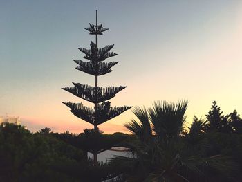 Low angle view of silhouette palm trees against sky