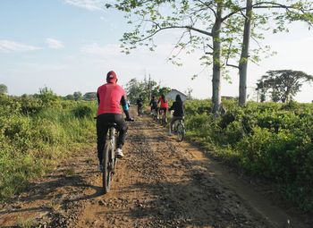 Rear view of man riding bicycle on dirt road