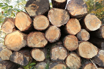 Full frame shot of logs