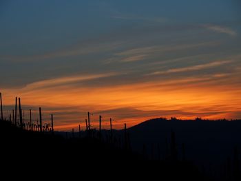 Silhouette wooden posts on field against dramatic sky during sunset