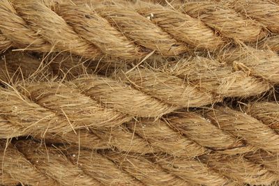 Full frame shot of farm