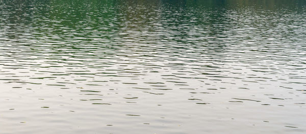 Full frame shot of rippled water