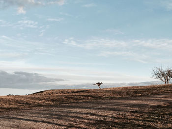 Scenic view of land against sky