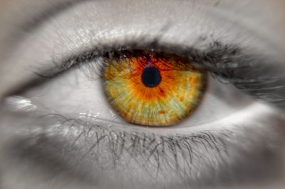 Extreme close-up of human eye