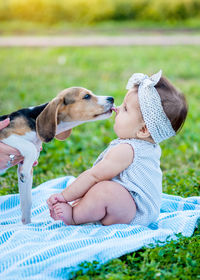 High angle view of puppy sitting on field