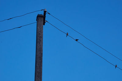 Low angle view of birds perching on cable