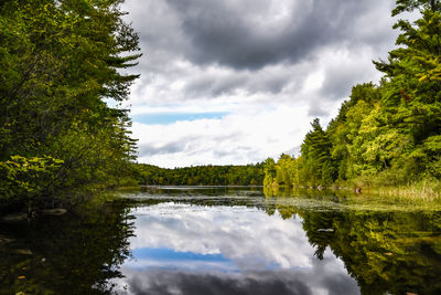 Reflection of trees in lake against sky