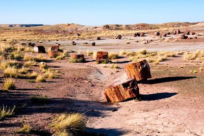 Panoramic view of desert