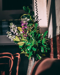 Close-up of potted plant