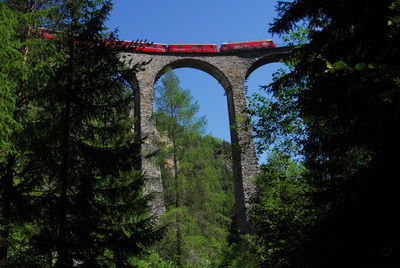 Low angle view of arch bridge in forest against sky