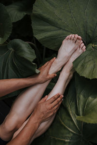 Cropped image of person touching legs over plants