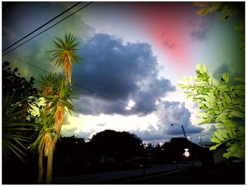 Low angle view of palm trees against cloudy sky