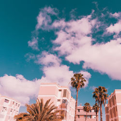 Low angle view of palm trees and buildings against sky