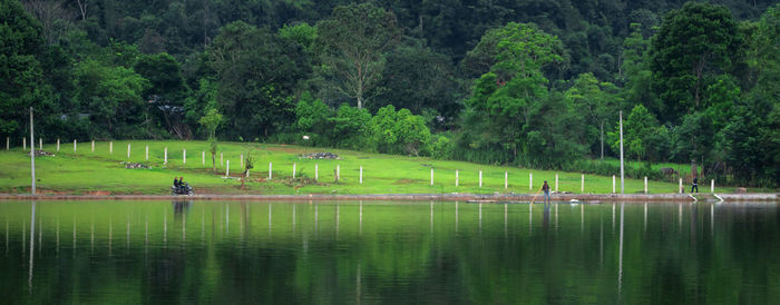 Scenic view of lake by trees