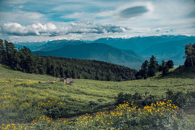 Scenic view of landscape and altai mountains against partly cloudy sky