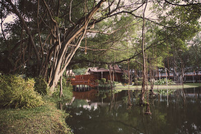 Trees by lake in park against house in forest