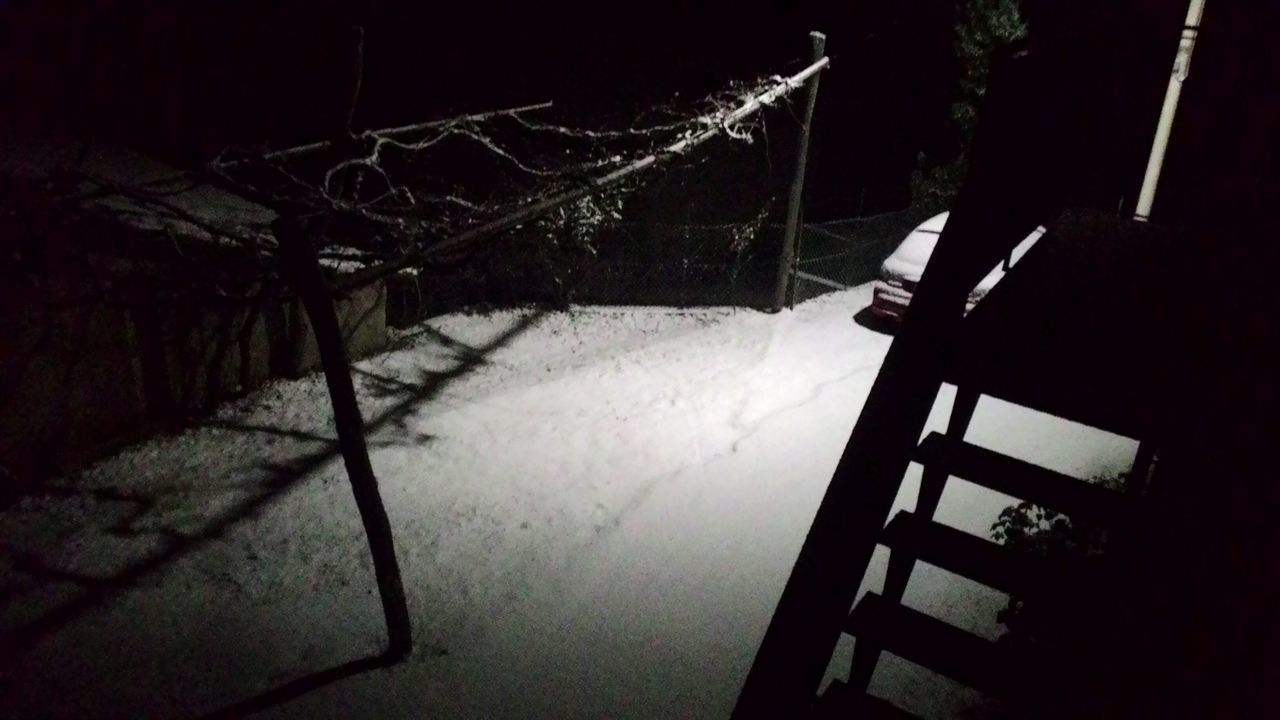 SNOW ON TREES IN WINTER