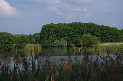 Scenic view of lake against sky