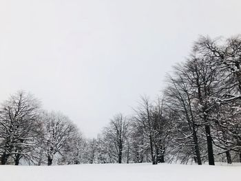 Bare trees against clear sky during winter