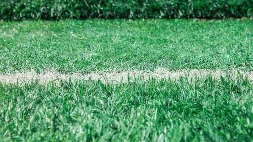 View of soccer field