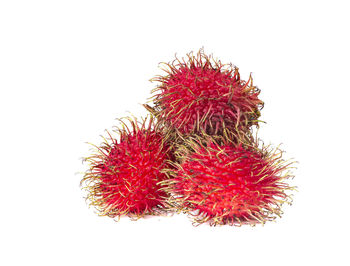 Close-up of red berries against white background