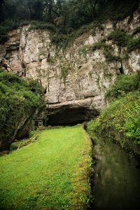 Scenic view of green landscape