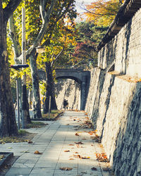 Footpath leading to building