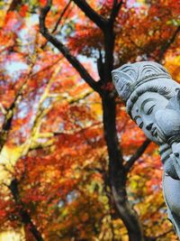 Low angle view of statue against trees during autumn