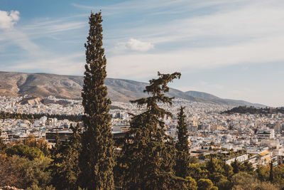 Trees and townscape against sky