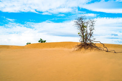 Scenic view of desert against blue sky