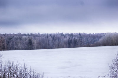 Trees on snow covered landscape against sky