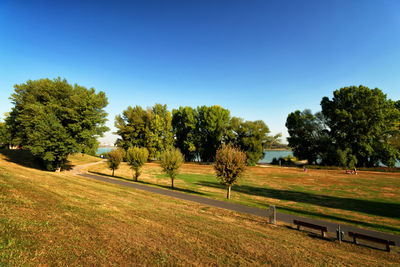 Trees on field against clear sky