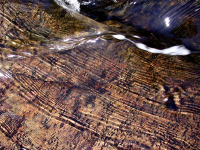 CLOSE-UP OF WOOD ON FLOOR