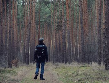 Rear view of backpacker walking in forest