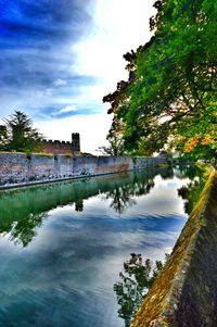 Reflection of trees in river