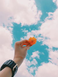 Low angle view of woman holding flower against sky