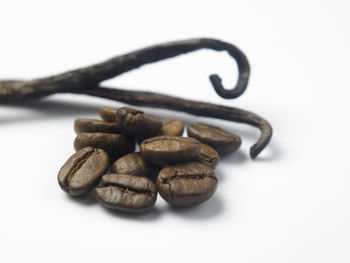 Close-up of food against white background