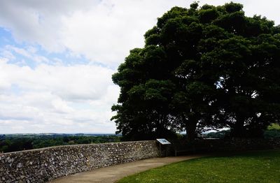 Trees on field against cloudy sky