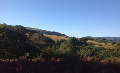 Scenic view of landscape against clear blue sky