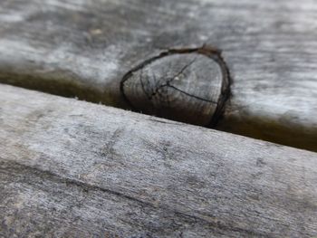 Close-up of wood