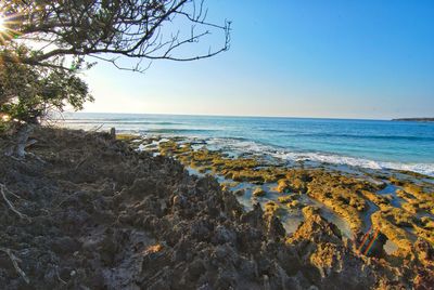 Scenic view of sea against clear sky