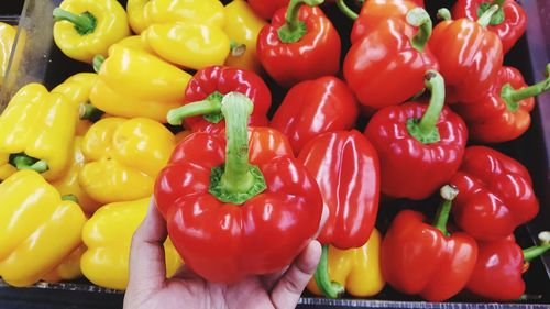 Close-up of bell peppers