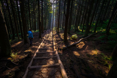 Rear view of man at forest