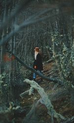 Woman exploring amidst trees in forest